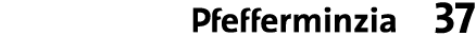 ￼ 37
