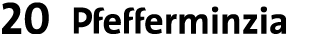20 ￼