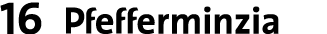 16 ￼