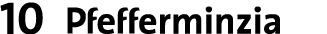10 ￼