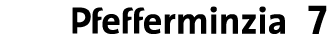 ￼ 7